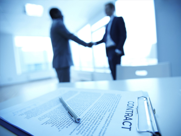 Consultants & Auditors